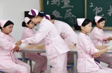 护理<font color=